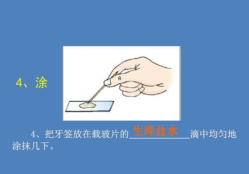 人教版七年级生物上册--第三节 《动物细胞》(精品课件)第8页