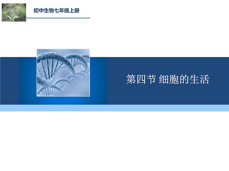 人教版七年级生物上册--第四节 《细胞的生活》(精品课件)01