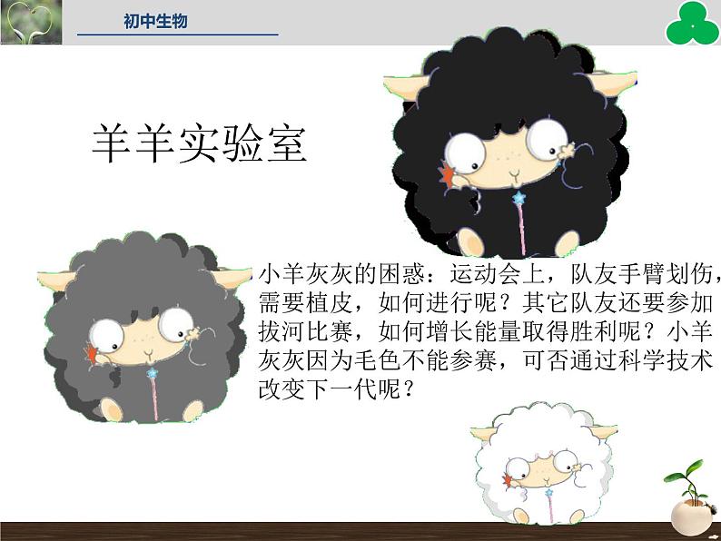 人教版七年级生物上册--第四节 《细胞的生活》(精品课件)03
