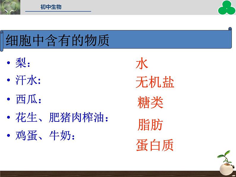 人教版七年级生物上册--第四节 《细胞的生活》(精品课件)05