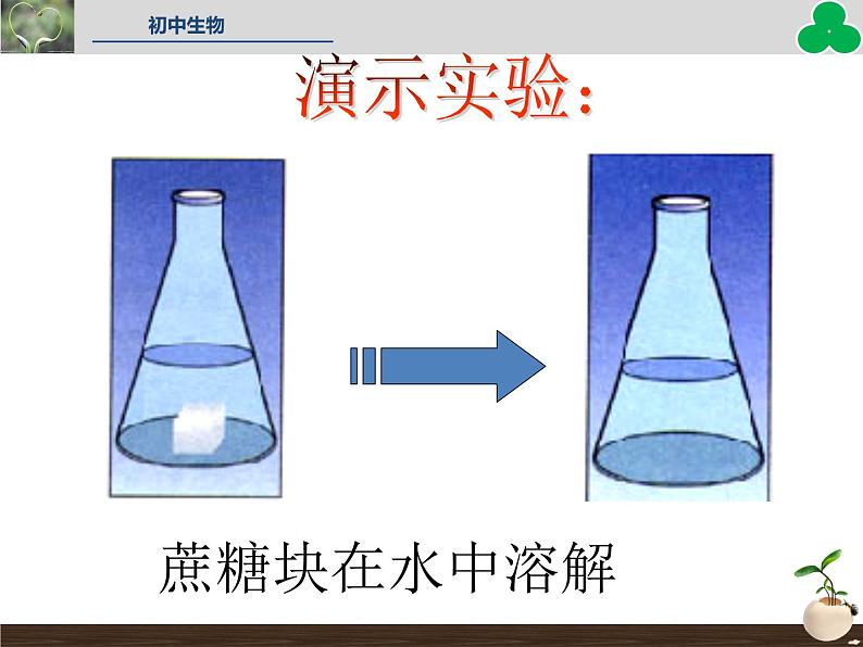 人教版七年级生物上册--第四节 《细胞的生活》(精品课件)06