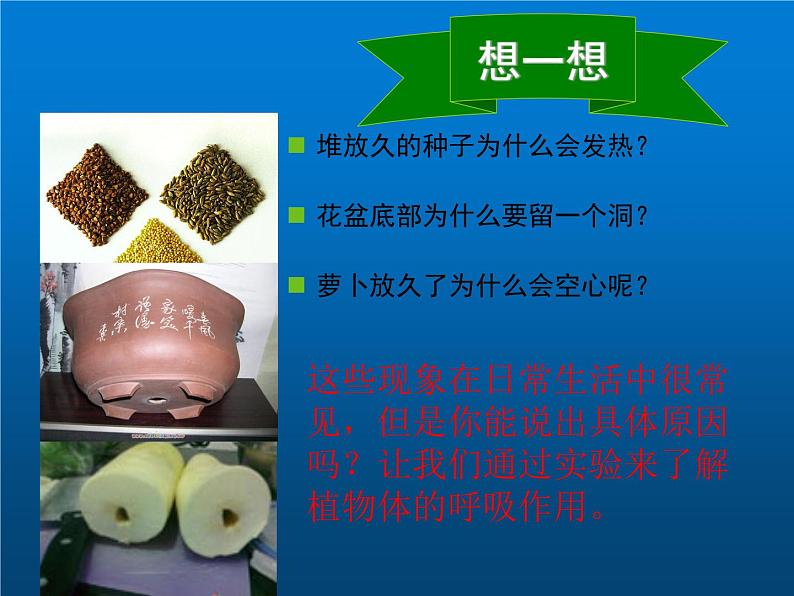 人教版七年级生物上册--第二节《绿色植物的呼吸作用》(精品课件)第7页
