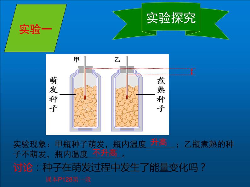 人教版七年级生物上册--第二节《绿色植物的呼吸作用》(精品课件)第8页