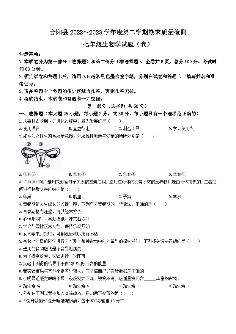 陕西省渭南市合阳县2022-2023学年七年级下学期期末生物试题(无答案)01