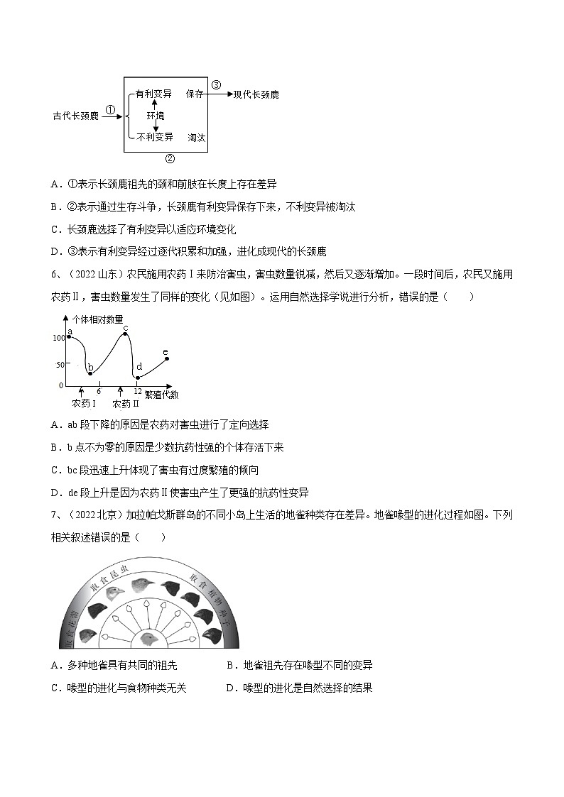 专题21 生命起源和生物进化(专题精练)-2023年中考生物一轮复习讲练测(原卷版)第2页