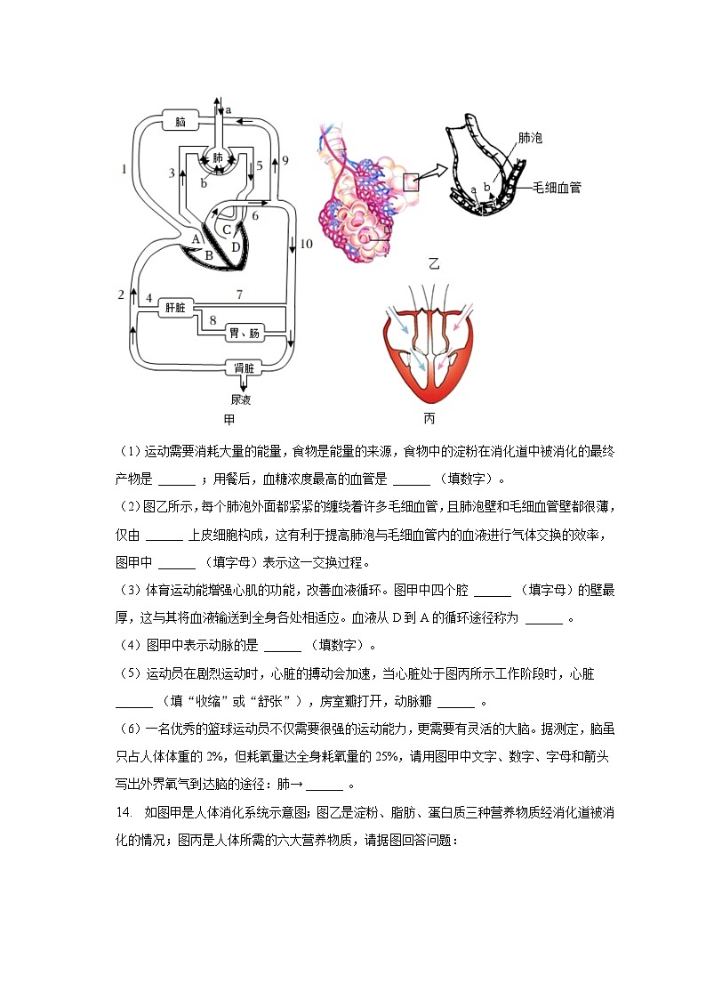 2022-2023学年辽宁省沈阳市于洪区七年级(下)期中生物试卷(含解析)第3页