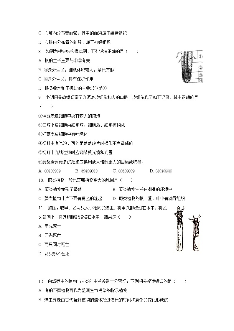 2022-2023学年江苏省宿迁市泗阳县七年级（下）期末生物试卷（含解析）02