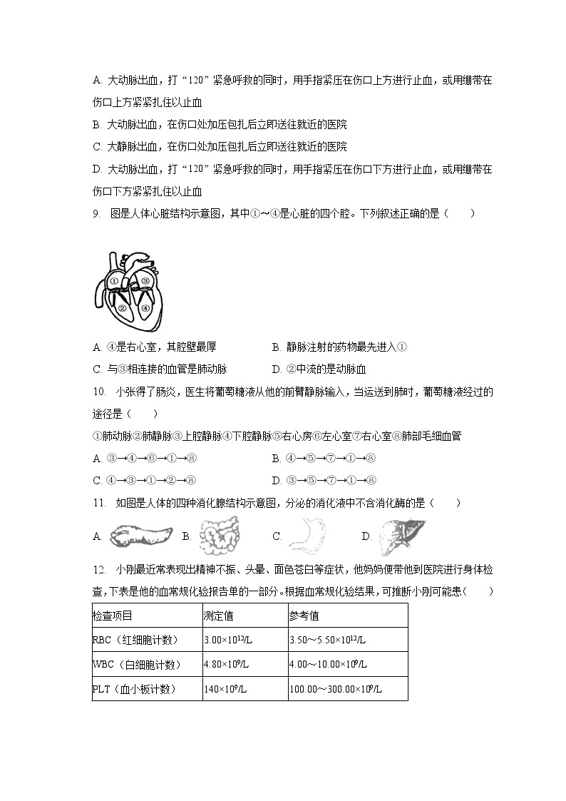 2022-2023学年辽宁省朝阳市朝阳县羊山实验中学七年级（下）期中生物试卷（含解析）02