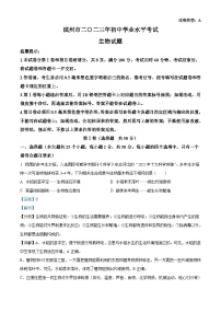 2023年山東省濱州市中考生物真題（含解析）