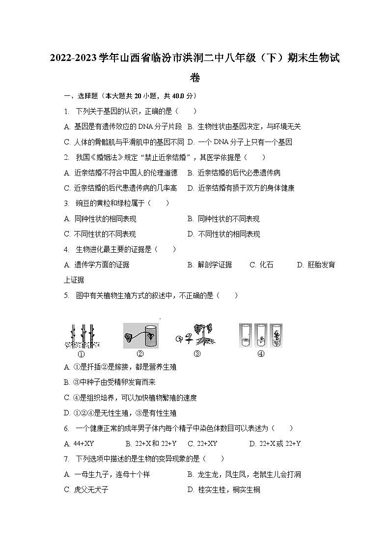 2022-2023学年山西省临汾市洪洞二中八年级(下)期末生物试卷(含解析)01