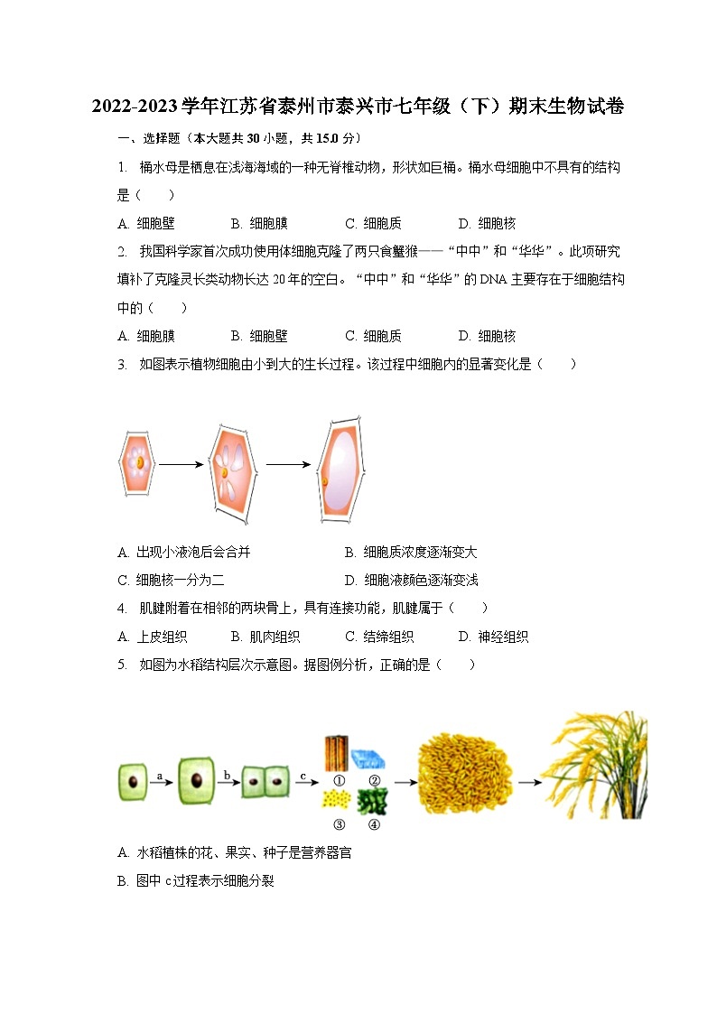 2022-2023学年江苏省泰州市泰兴市七年级(下)期末生物试卷(含解析)第1页