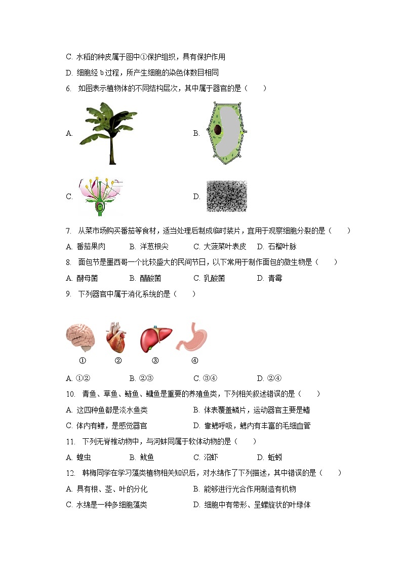 2022-2023学年江苏省泰州市泰兴市七年级(下)期末生物试卷(含解析)第2页