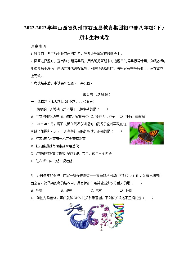 2022-2023学年山西省朔州市右玉县教育集团初中部八年级（下）期末生物试卷（含解析）01