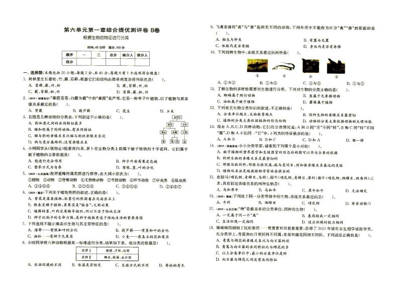 人教版八年级上册《生物》第六单元第一章综合达标训练B卷（含答案）01