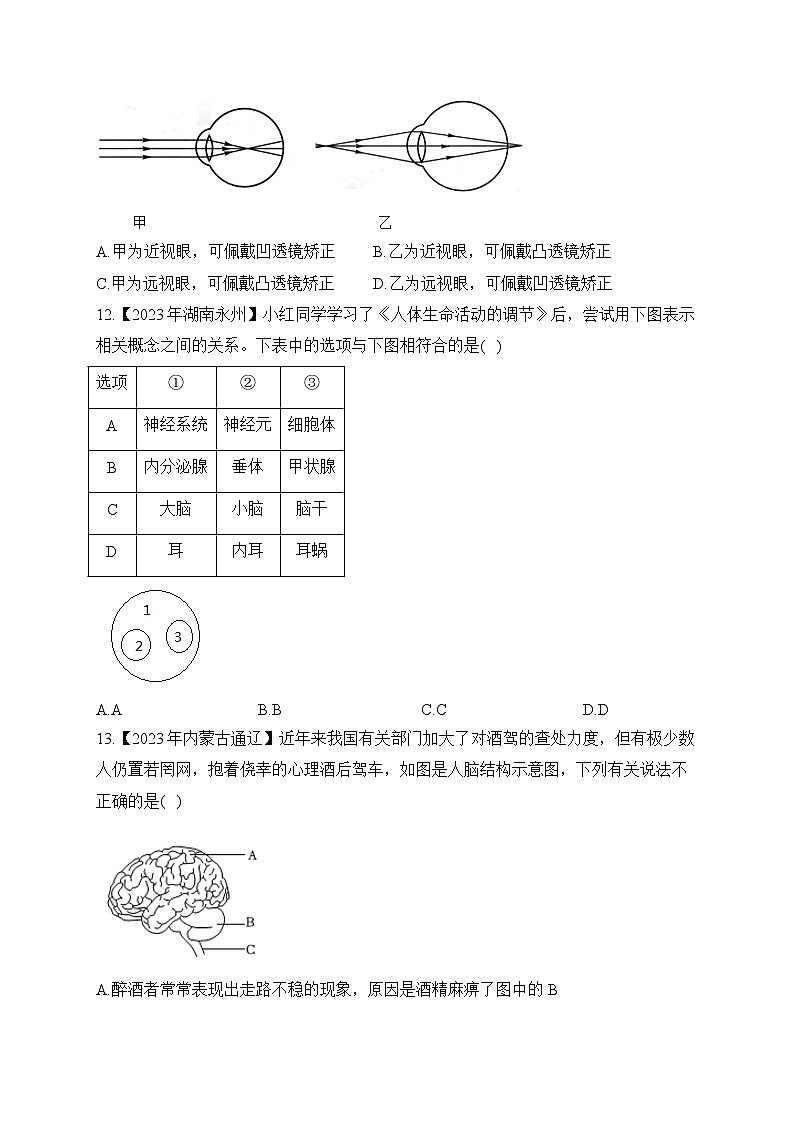 (10)人体生命活动的调节——2023年中考生物真题专项汇编03