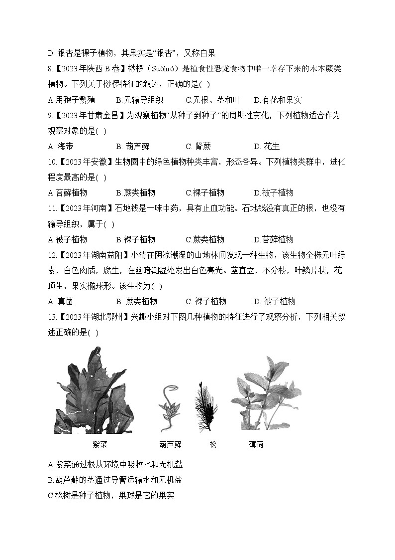 (12)植物的主要类群——2023年中考生物真题专项汇编02