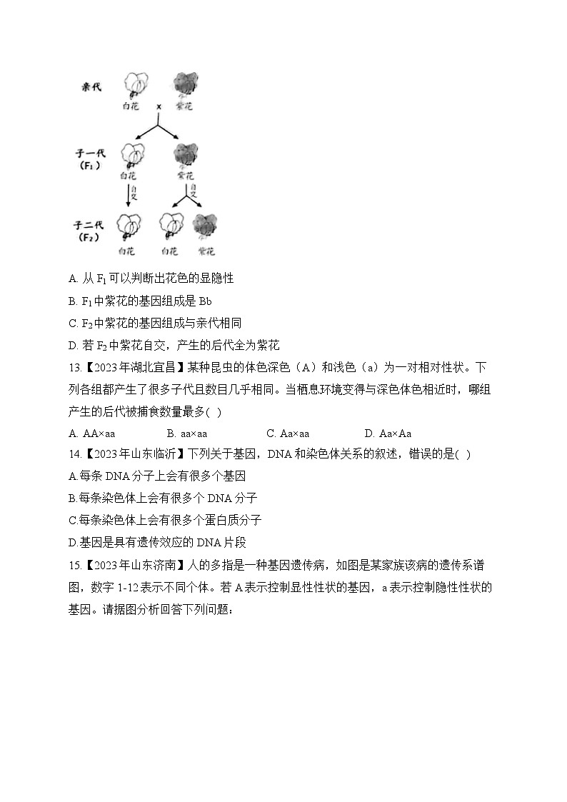 (18)生物的遗传和变异——2023年中考生物真题专项汇编第3页