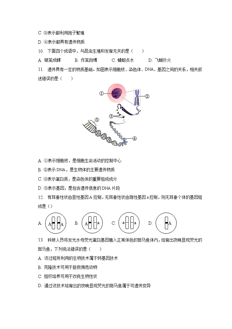 山西省大同市2022-2023学年八年级下学期期末生物试卷第3页
