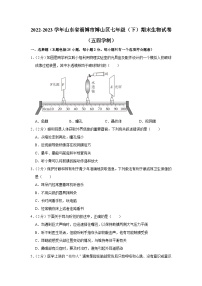 山东省淄博市博山区2022-2023学年七年级下学期期末生物试题(含答案)