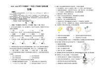 内蒙古满洲里市第十二学校2022-2023学年八年级下学期期中考试生物试题