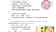 人教版 (新课标)七年级下册第一节 流动的组织──血液练习