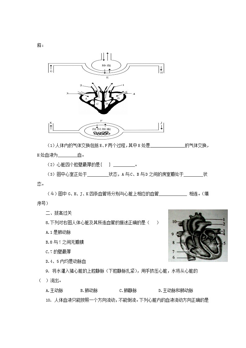 2023七年级生物下册第四单元生物圈中的人第四章人体内物质的运输4.3输送血液的泵_心脏同步练习新版新人教版02