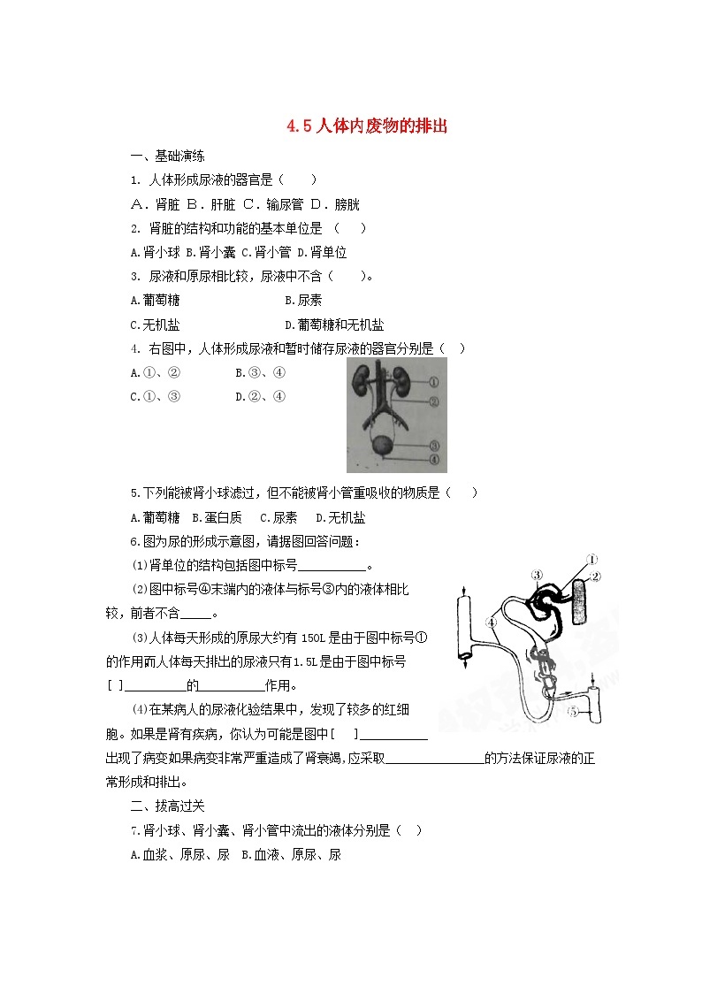 2023七年级生物下册第四单元生物圈中的人第五章人体内废物的排出练习新版新人教版01