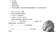 初中人教版 (新课标)第二节 神经系统的组成同步测试题