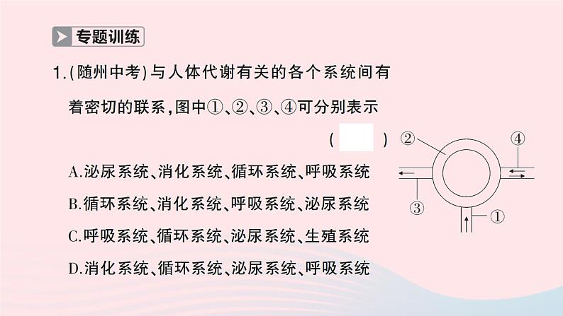 2023七年级生物下册第四单元生物圈中的人第五章人体内废物的排出微专题一人体部分生理活动综合作业课件新版新人教版03
