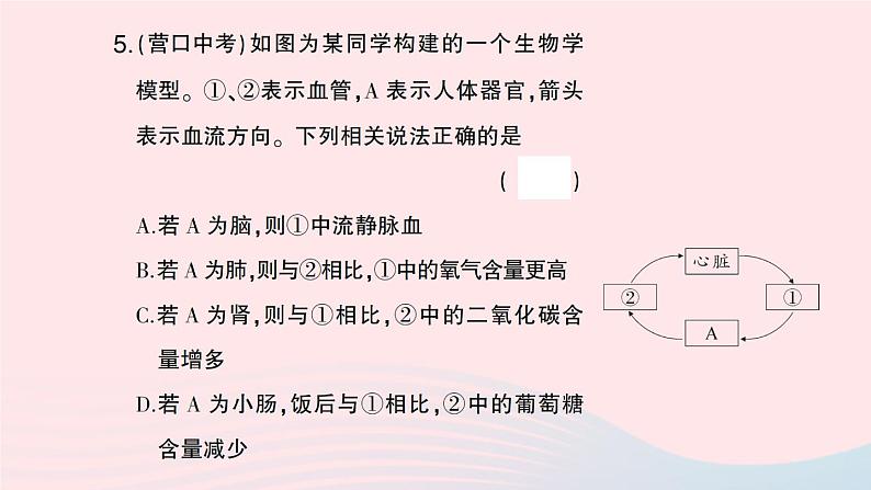 2023七年级生物下册第四单元生物圈中的人第五章人体内废物的排出微专题一人体部分生理活动综合作业课件新版新人教版07