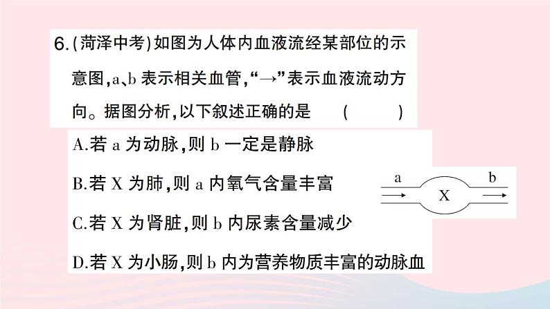 2023七年级生物下册第四单元生物圈中的人第五章人体内废物的排出微专题一人体部分生理活动综合作业课件新版新人教版08