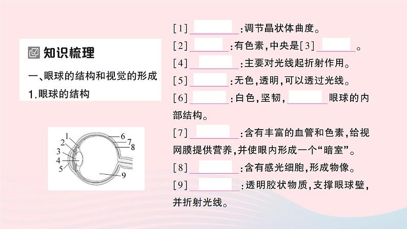 2023七年级生物下册第四单元生物圈中的人第六章人体生命活动的调节第一节人体对外界环境的感知第一课时眼和视觉作业课件新版新人教版第2页