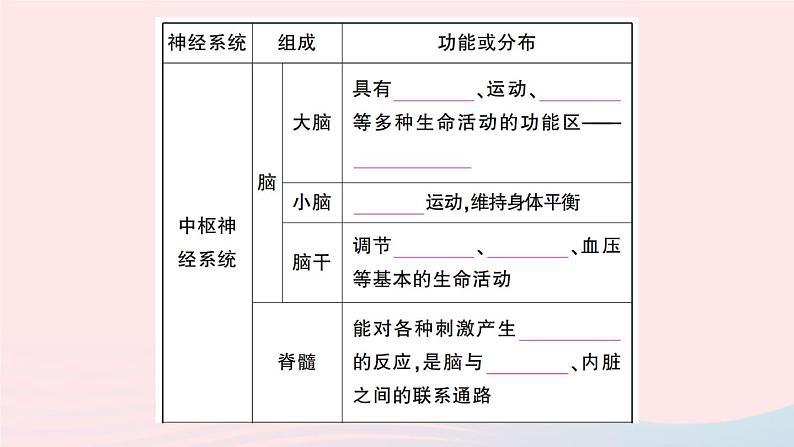 2023七年级生物下册第四单元生物圈中的人第六章人体生命活动的调节第二节神经系统的组成作业课件新版新人教版第3页