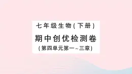 2023七年级生物下学期期中检测卷第四单元第一三章作业课件新版新人教版