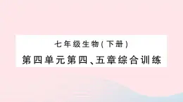 2023七年级生物下册第四单元生物圈中的人第四五章综合训练作业课件新版新人教版