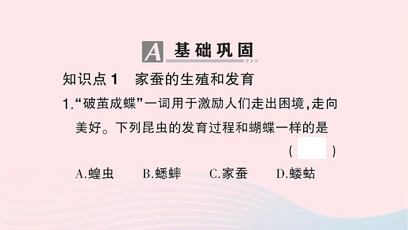 2023八年级生物下册第七单元生物圈中生命的延续和发展第一章生物的生殖和发育第二节昆虫的生殖和发育作业课件新版新人教版第7页