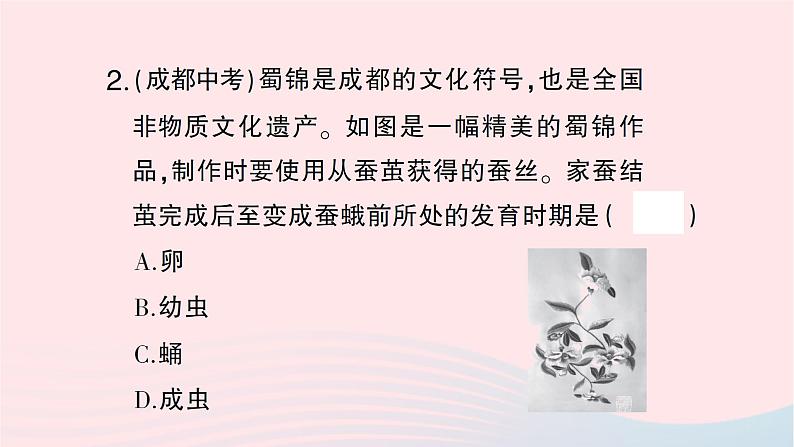 2023八年级生物下册第七单元生物圈中生命的延续和发展第一章生物的生殖和发育第二节昆虫的生殖和发育作业课件新版新人教版第8页