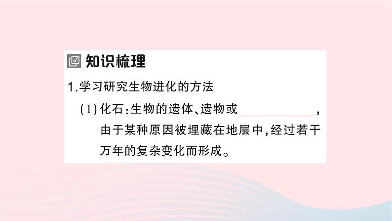 2023八年级生物下册第七单元生物圈中生命的延续和发展第三章生命起源和生物进化第二节生物进化的历程作业课件新版新人教版第2页