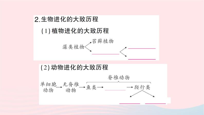 2023八年级生物下册第七单元生物圈中生命的延续和发展第三章生命起源和生物进化第二节生物进化的历程作业课件新版新人教版05