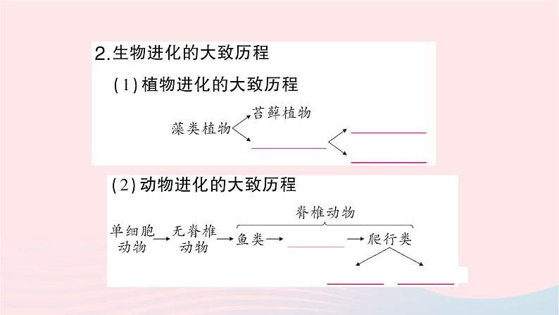 2023八年级生物下册第七单元生物圈中生命的延续和发展第三章生命起源和生物进化第二节生物进化的历程作业课件新版新人教版第5页