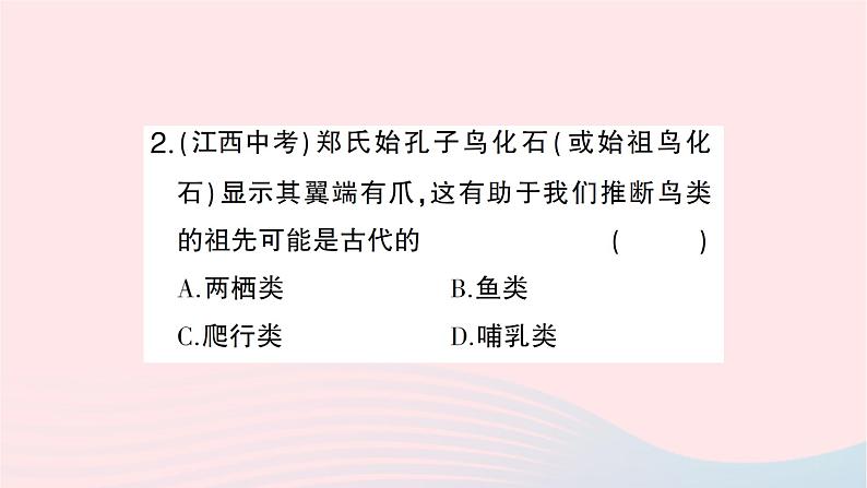 2023八年级生物下册第七单元生物圈中生命的延续和发展第三章生命起源和生物进化第二节生物进化的历程作业课件新版新人教版第8页