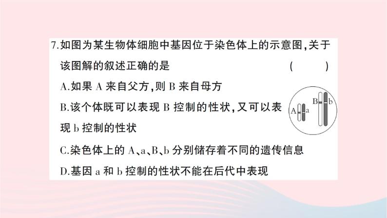 2023八年级生物下册第七单元第二章生物的遗传与变异综合训练作业课件新版新人教版08