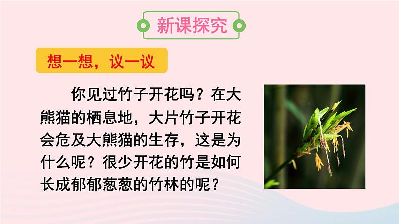 第一节 植物的生殖第3页