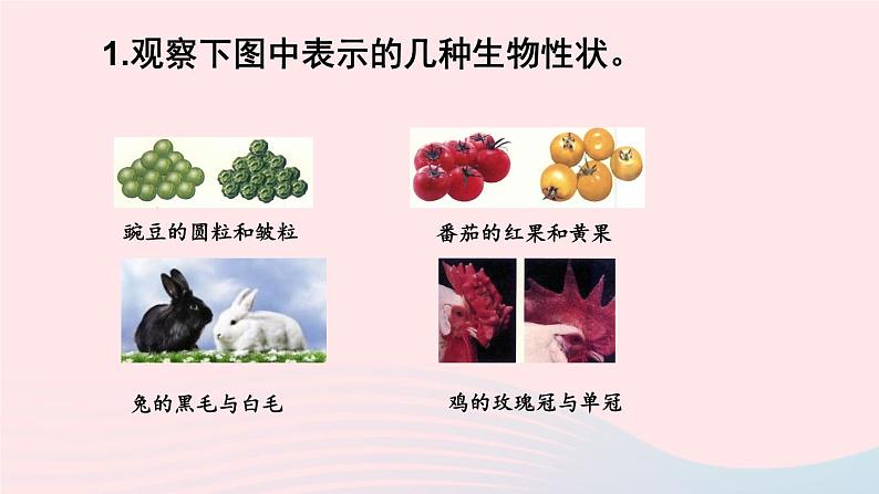 第一节 基因控制生物的性状第7页