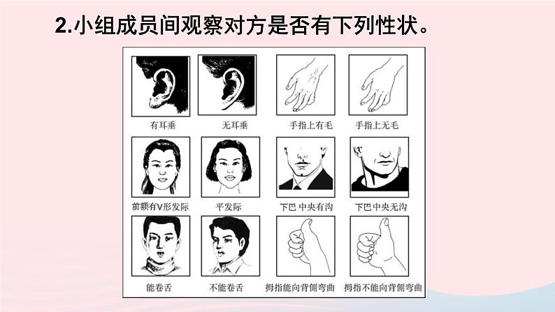 第一节 基因控制生物的性状第8页