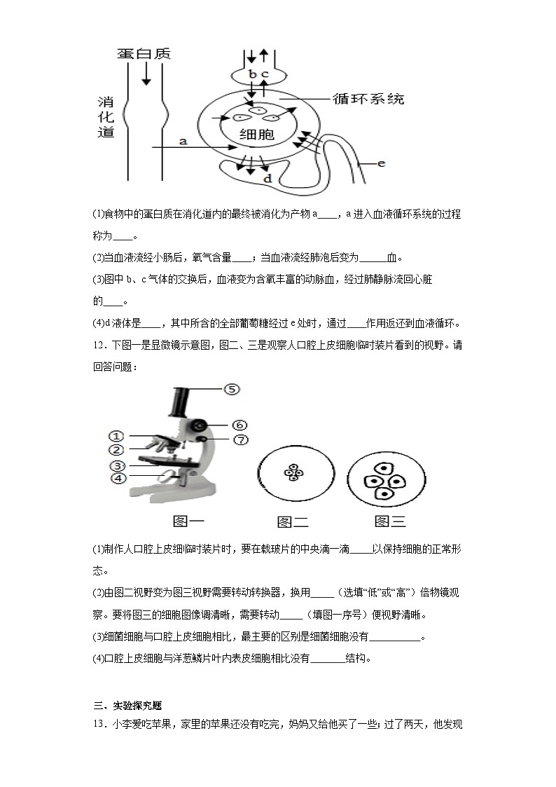2023年甘肃省平凉市庄浪县南湖中学中考模拟(三)诊断考试生物试题(含解析)第3页