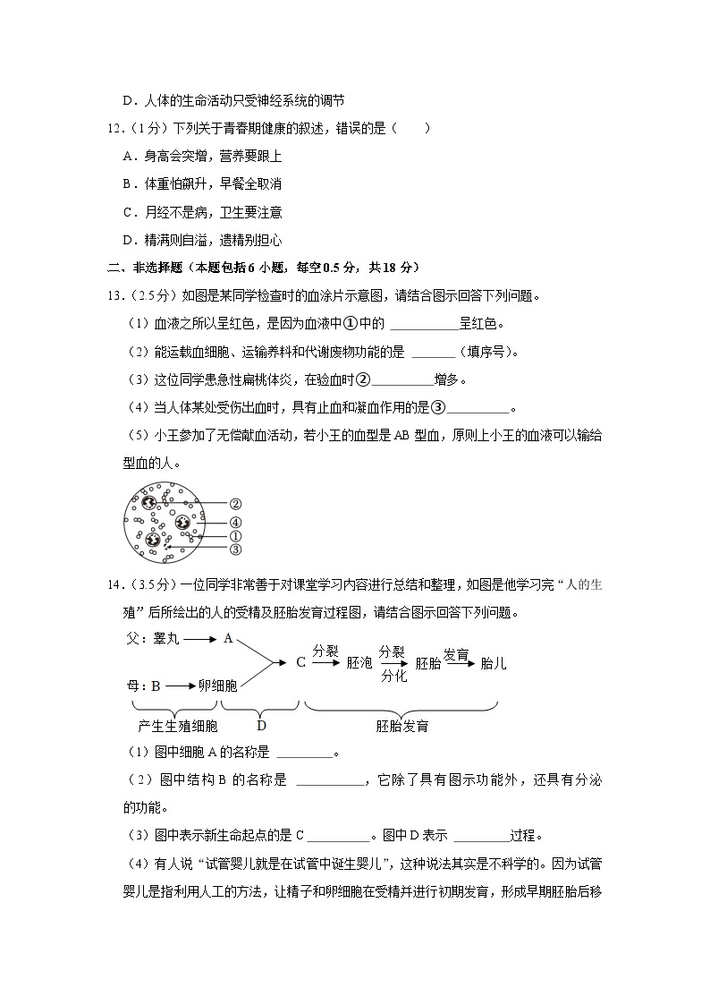 辽宁省铁岭市昌图县2022-2023学年七年级下学期期末生物试卷03