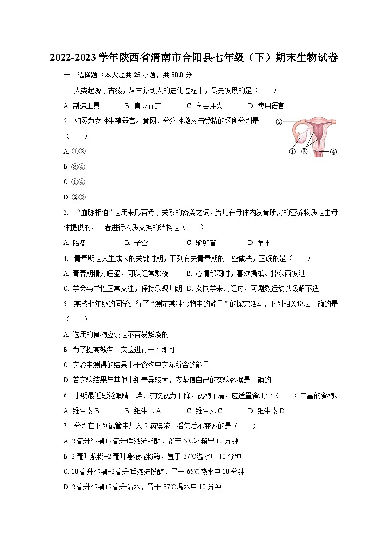 2022-2023学年陕西省渭南市合阳县七年级(下)期末生物试卷(含解析)第1页