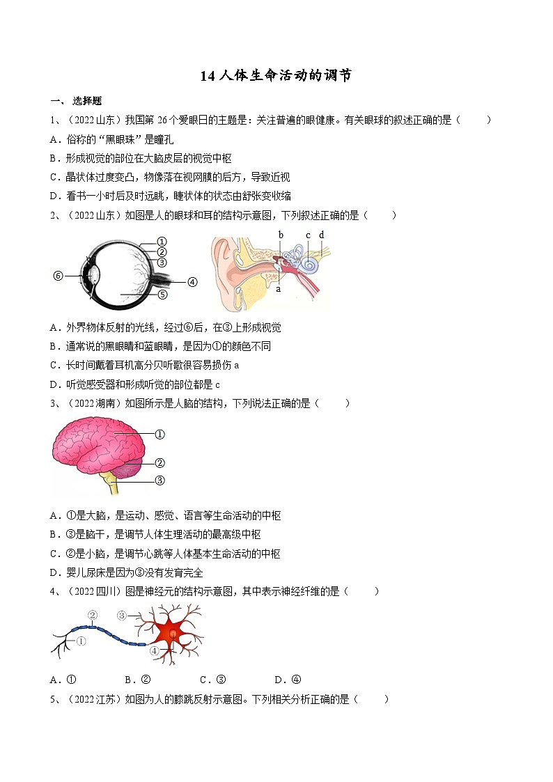 专题14 人体生命活动的调节(专题精练)-2023年中考生物一轮复习讲练测(原卷版)第1页