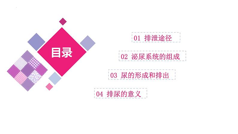 专题13 人体内废物的排出(课件精讲)-2023年中考生物一轮复习讲练测03